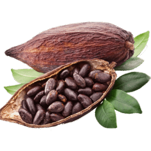 CACAO NIBS (DRAGEE)