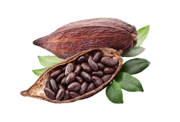 CACAO NIBS (DRAGEE)